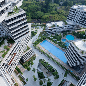 The Interlace