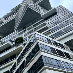 The Interlace